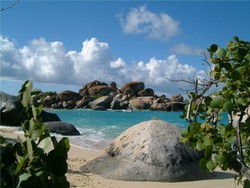 Tortola Tortola