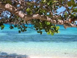 Strand Barbados Strand Barbados